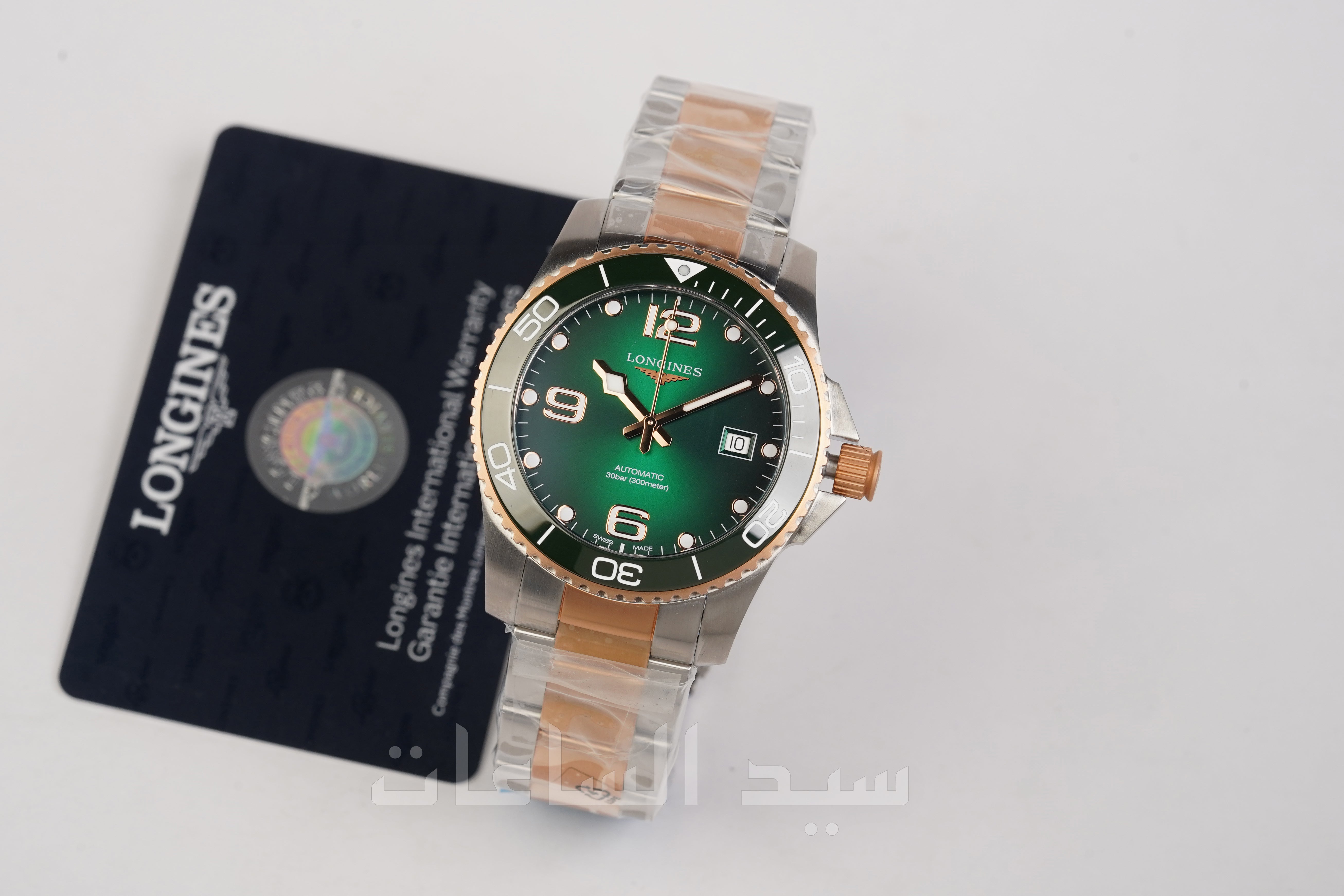 L37813087