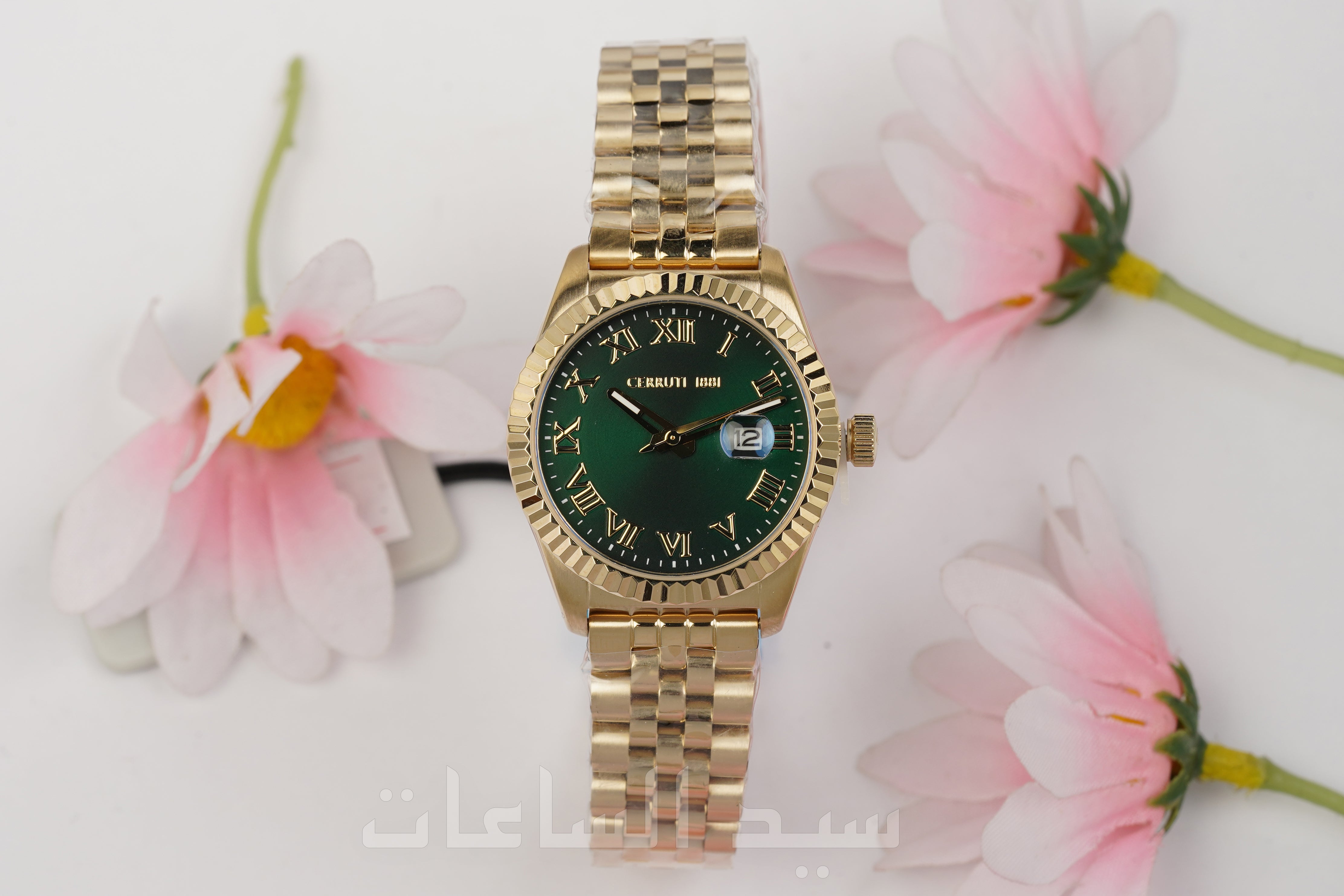 CIWLG0037905