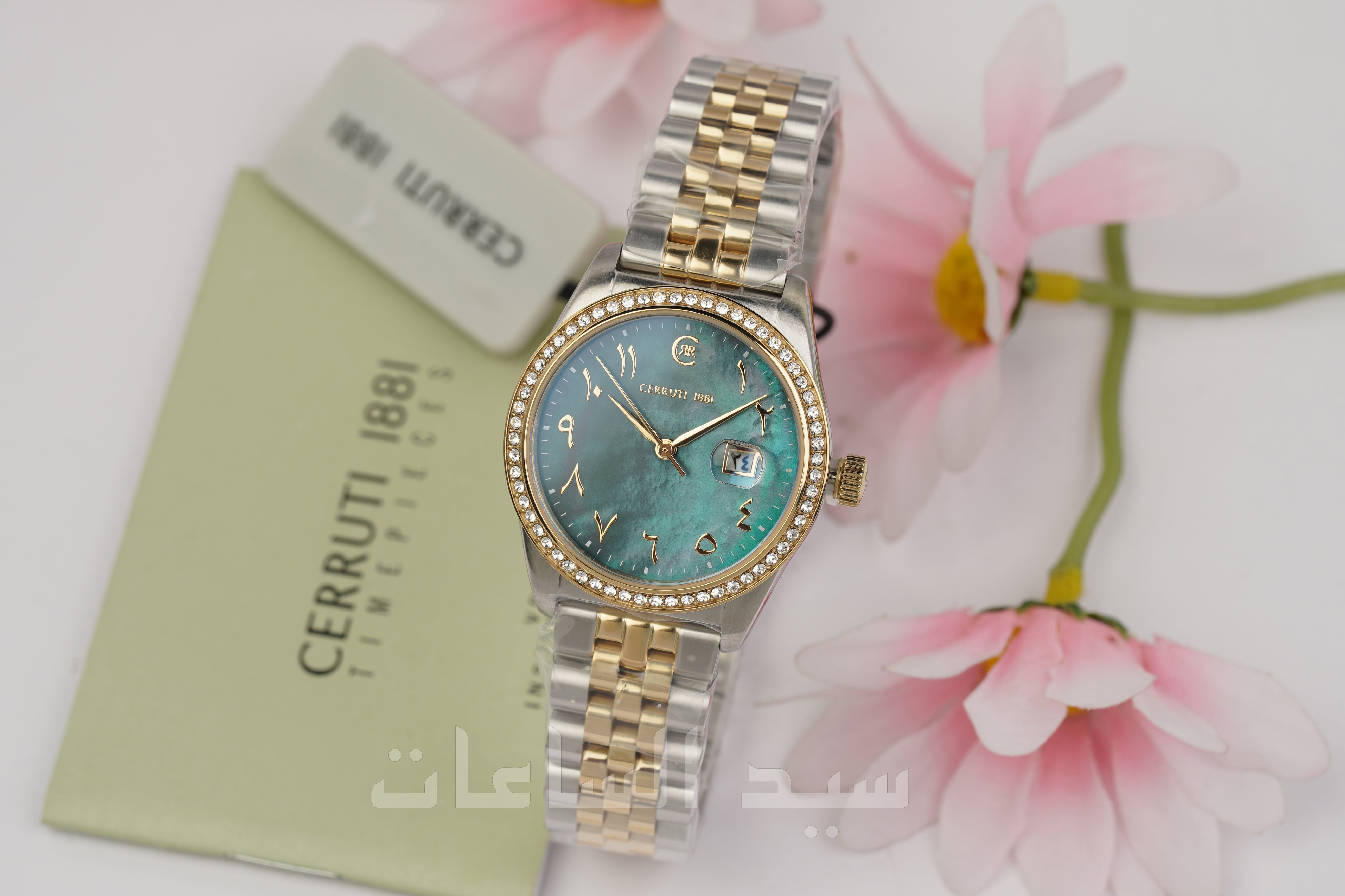 CIWLH0024005