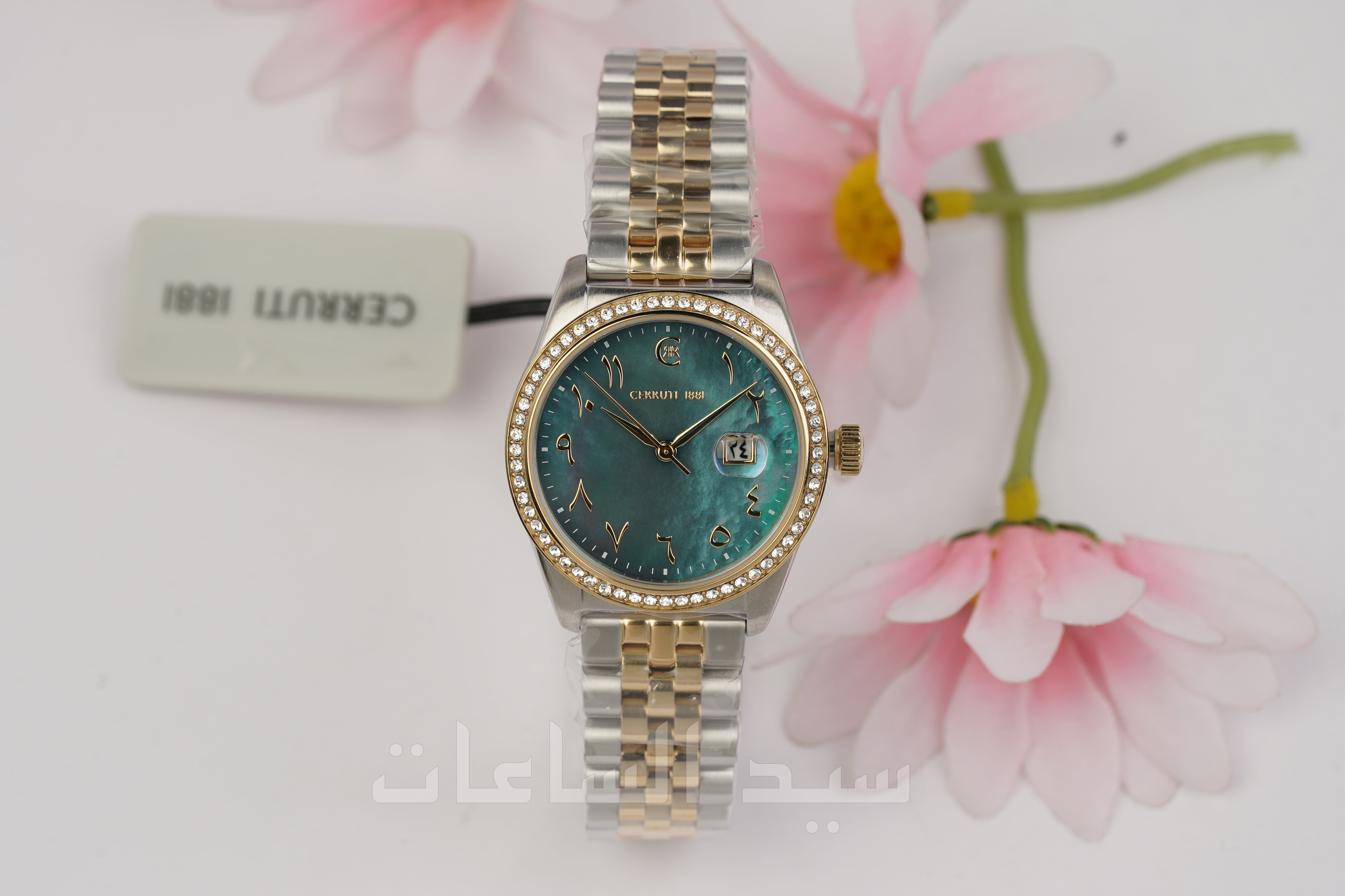 CIWLH0024005