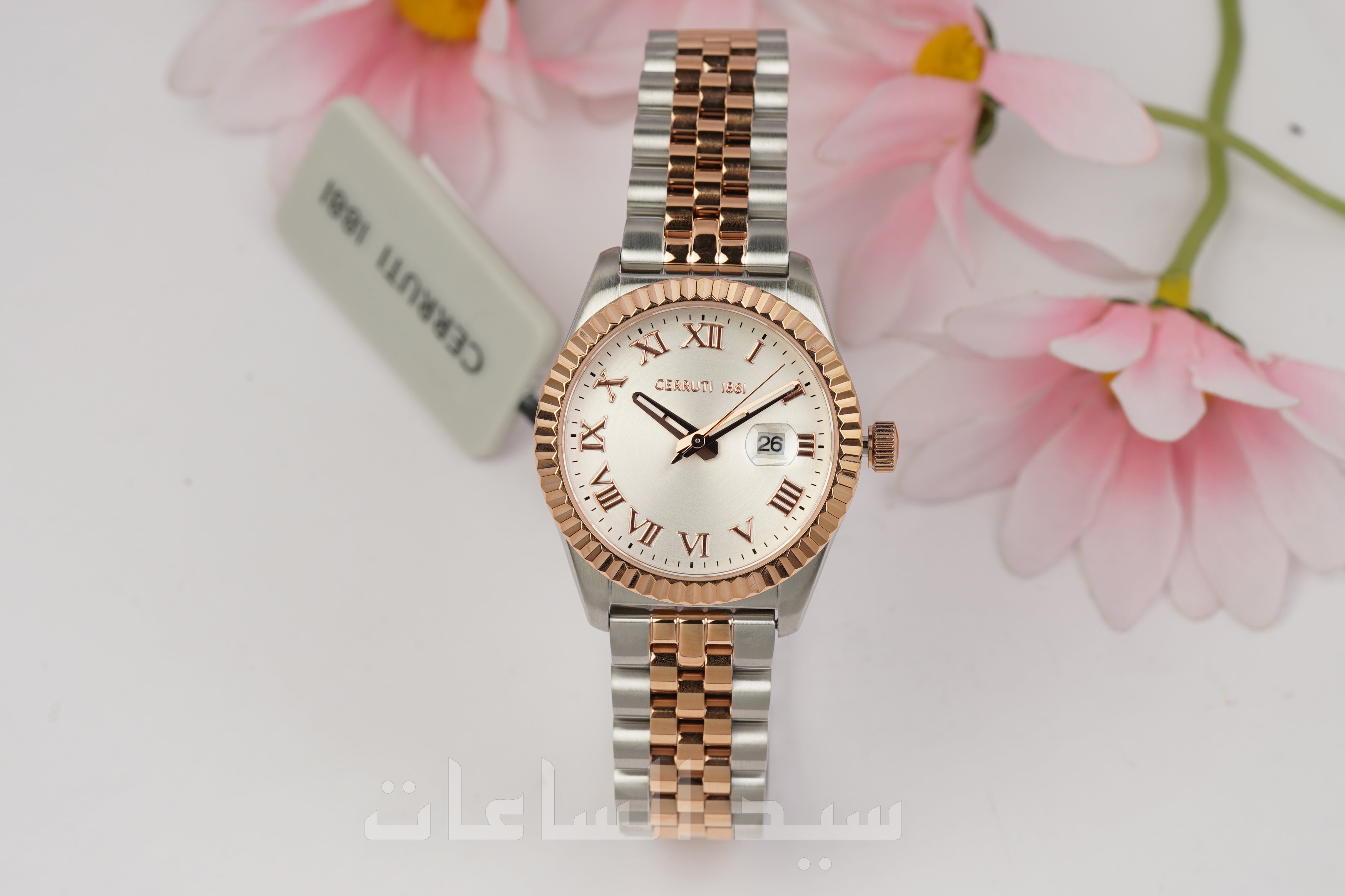 CIWLG0037904