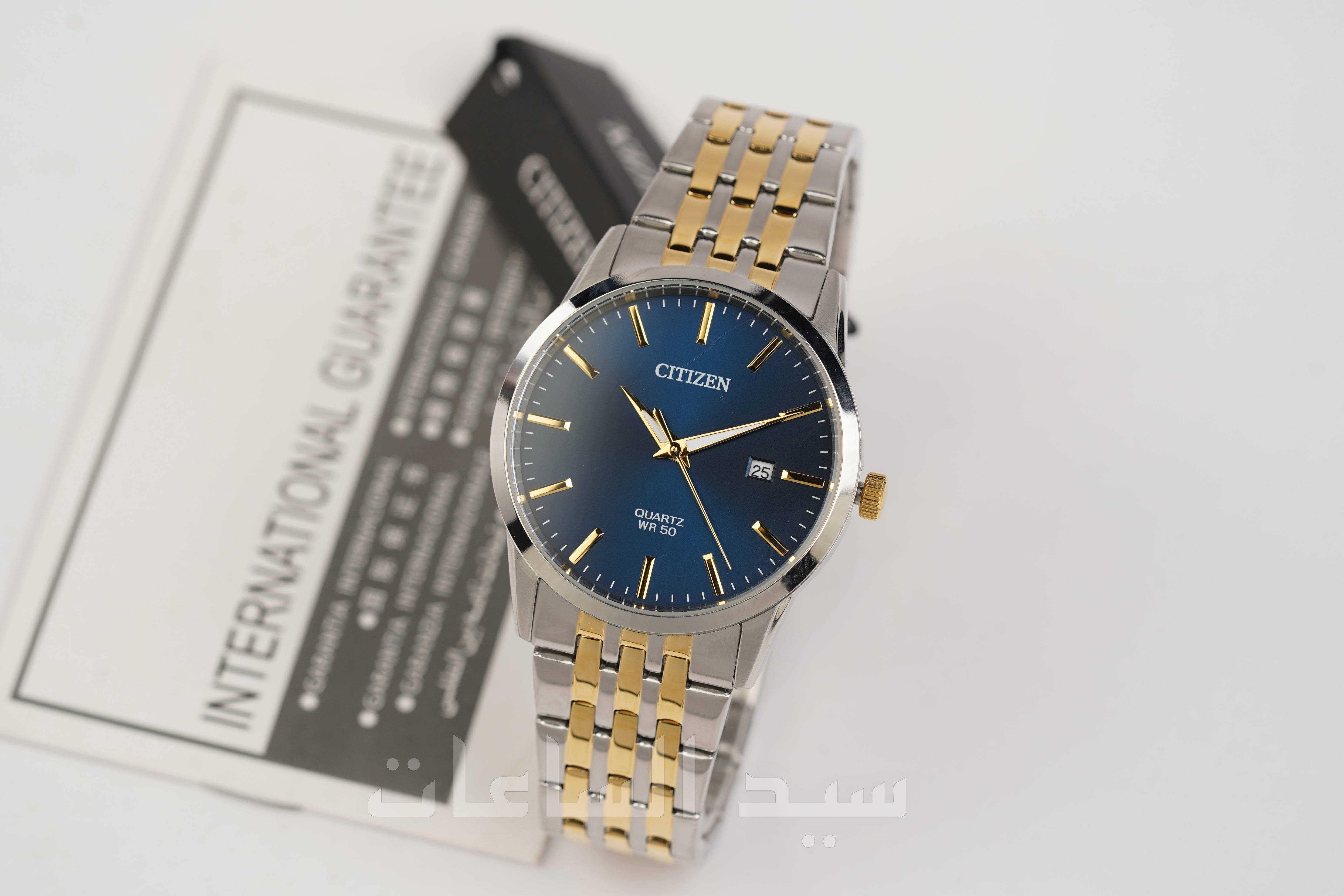 BI5006-81L