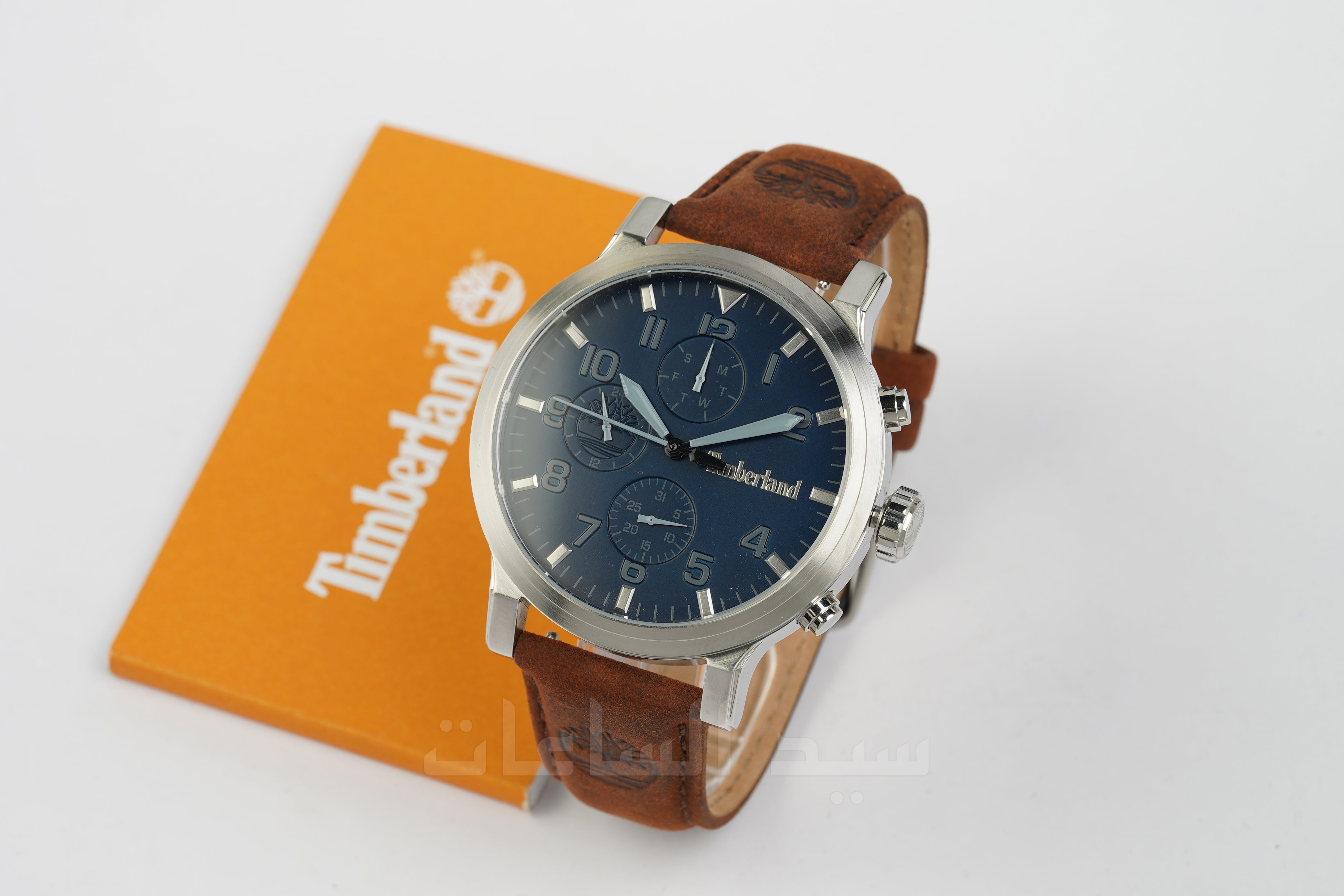 TDWGF0040702