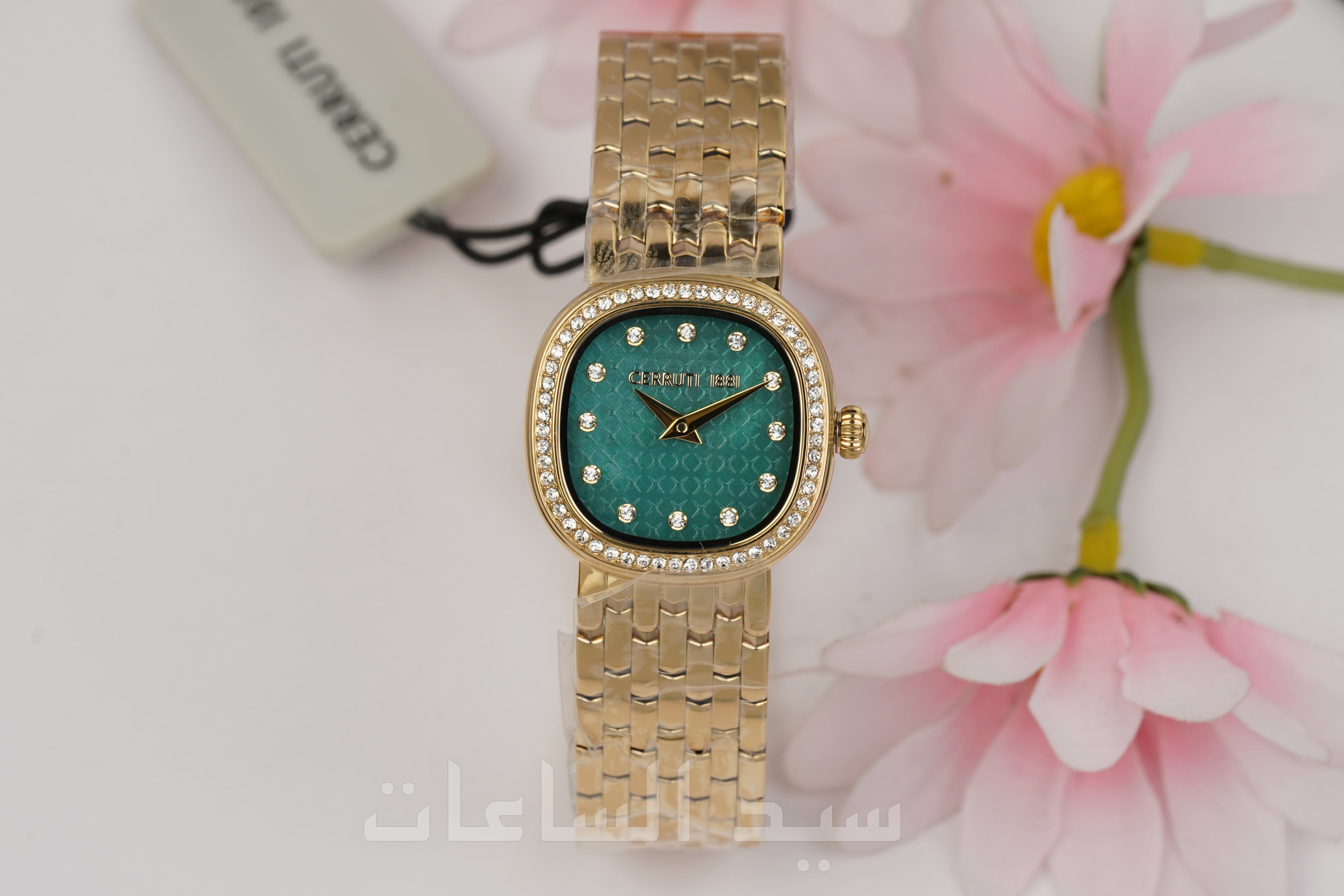CIWLG0072907