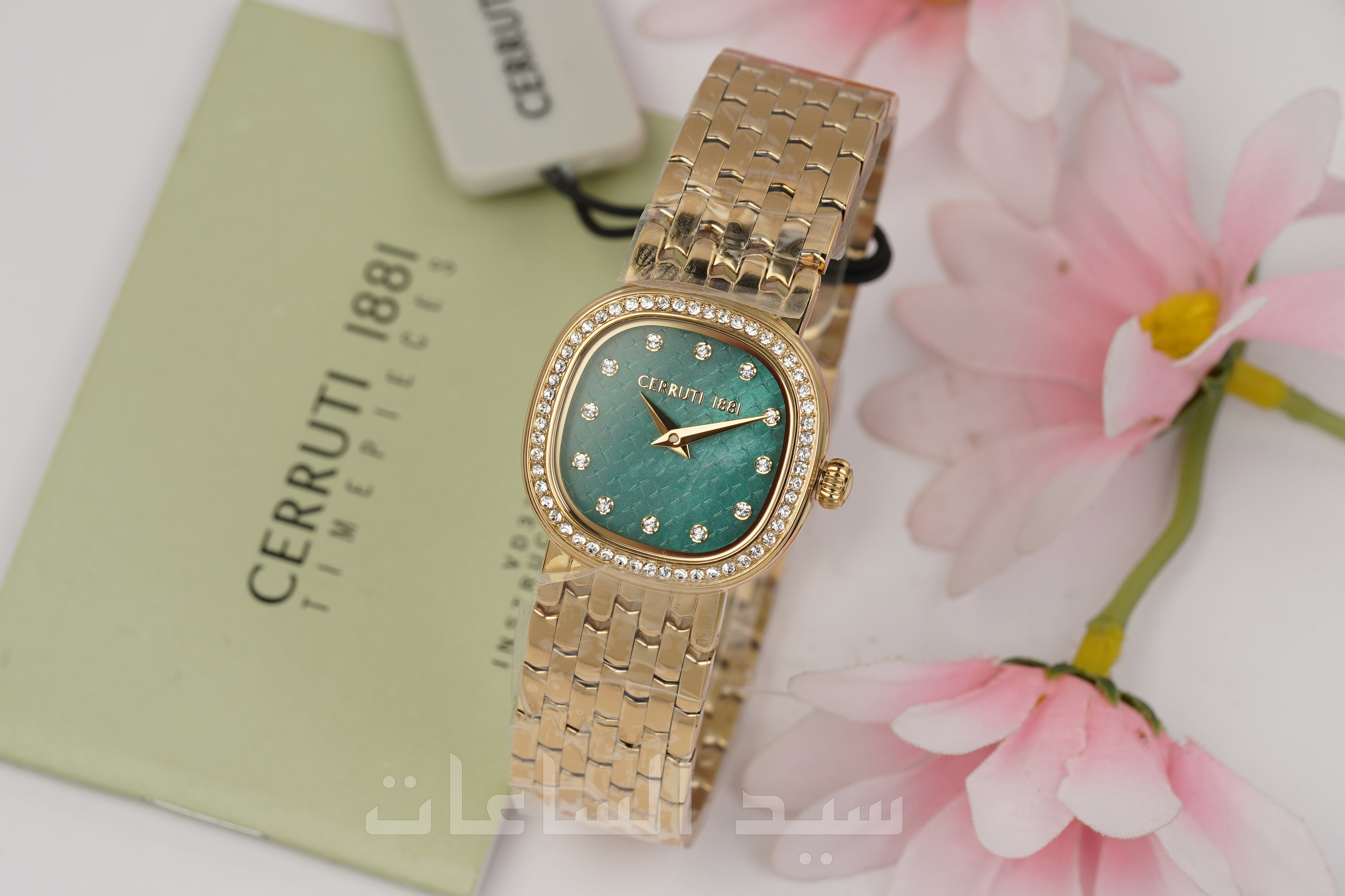 CIWLG0072907