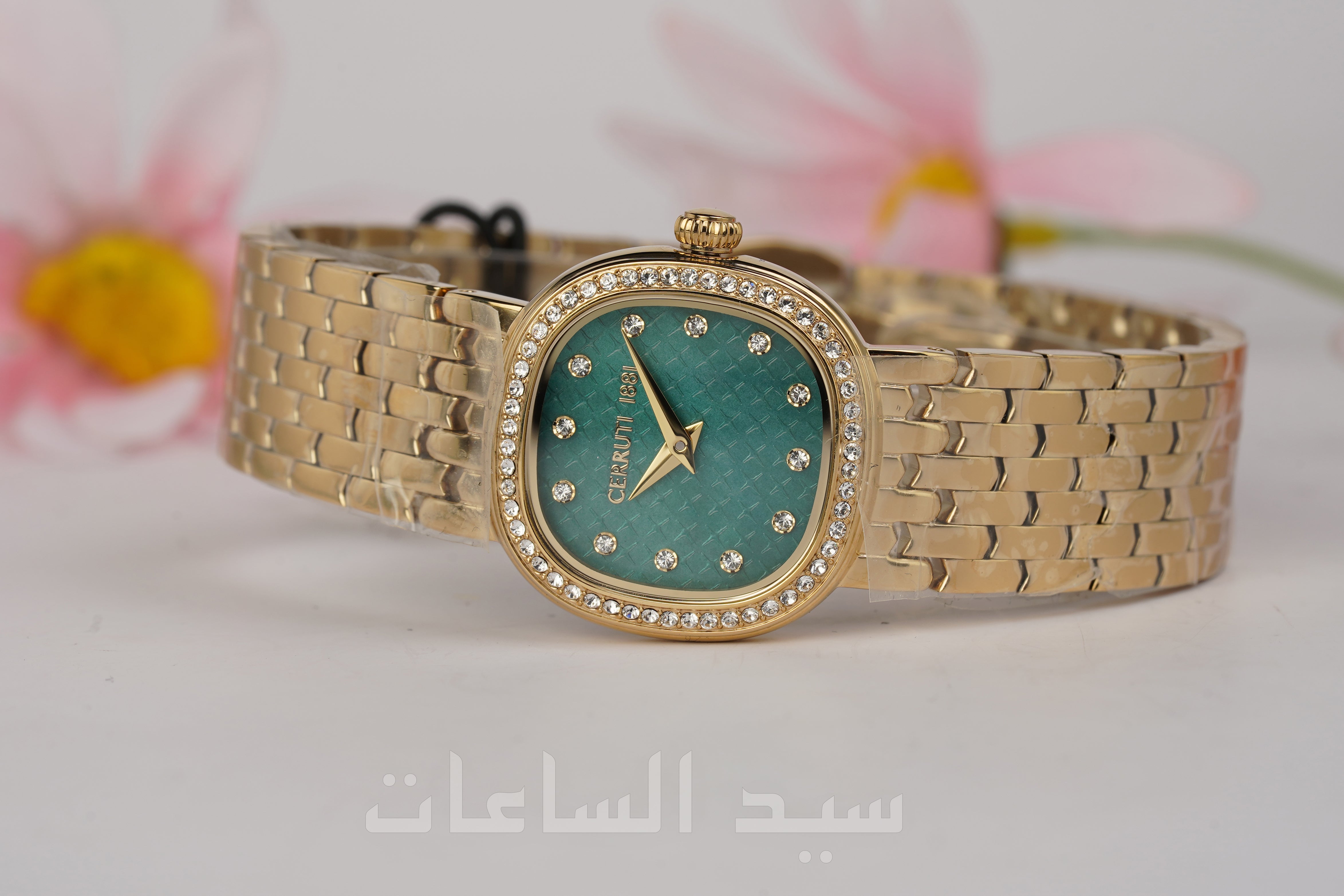 CIWLG0072907