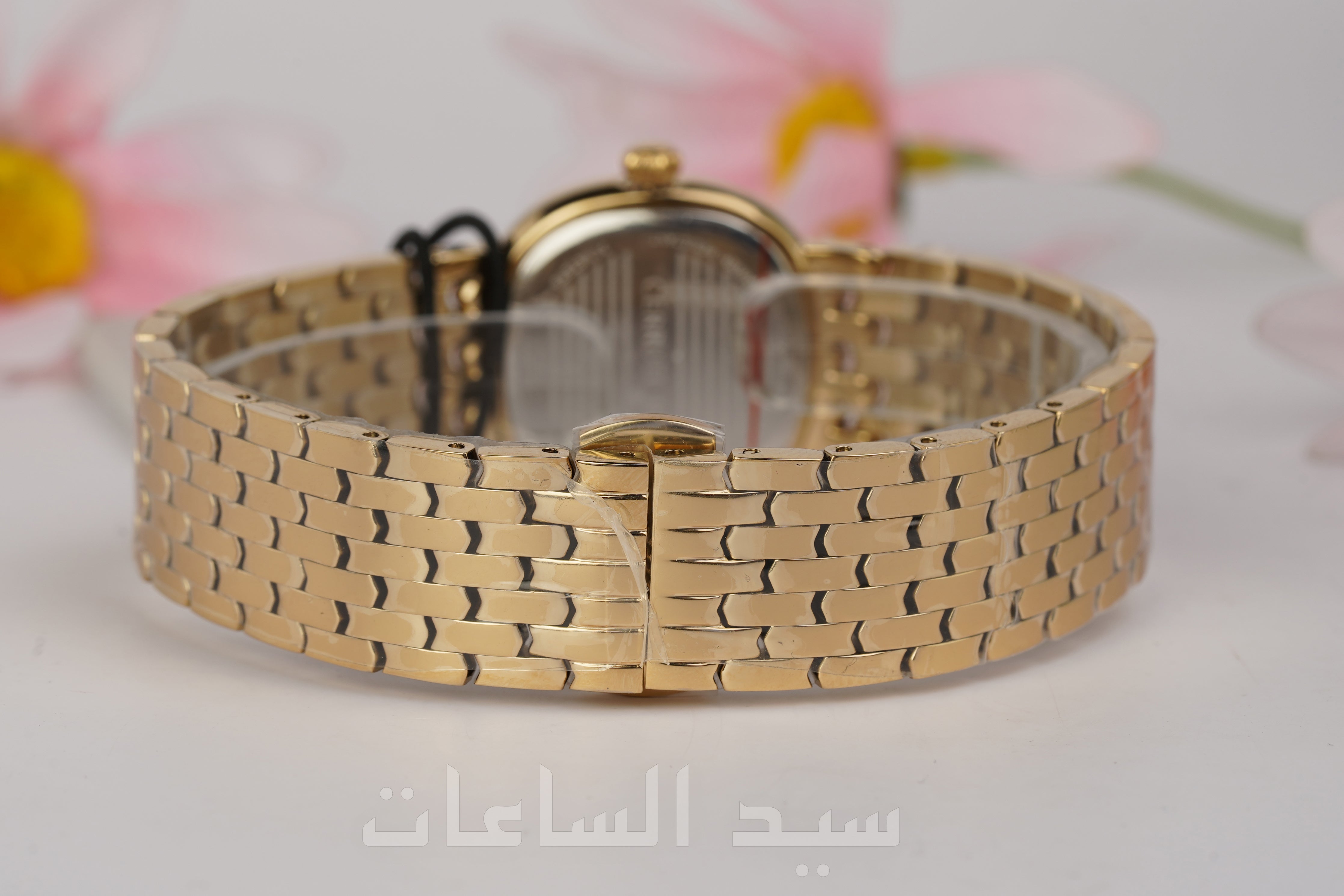 CIWLG0072907