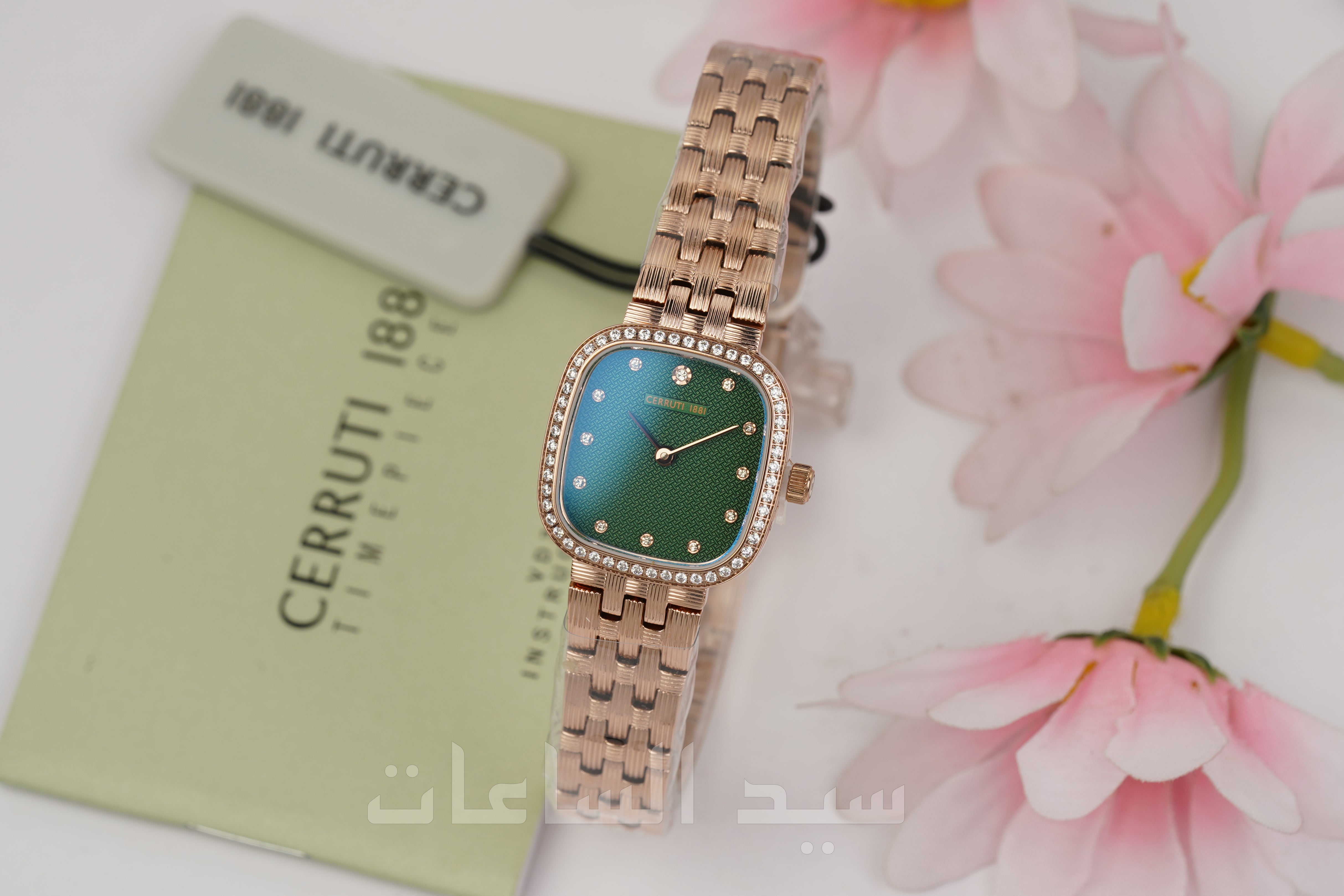 CIWLG0074203
