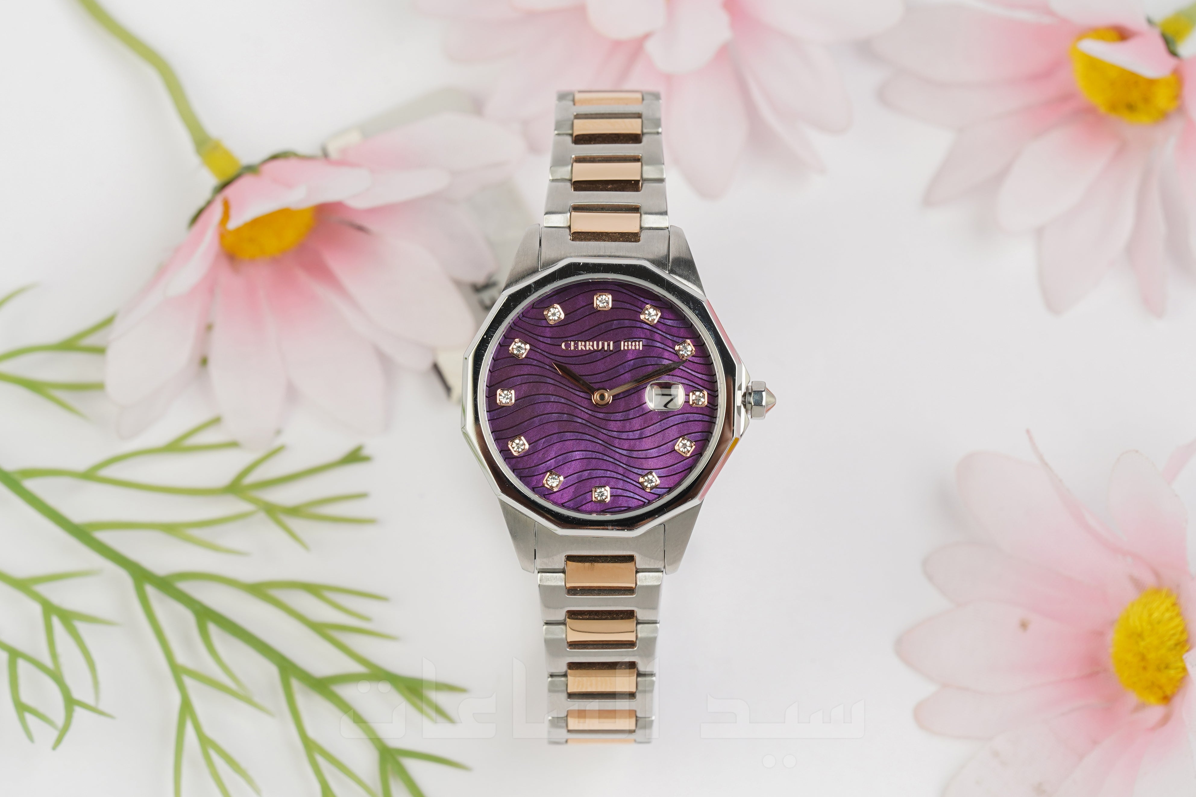 I-CIWLG2232403