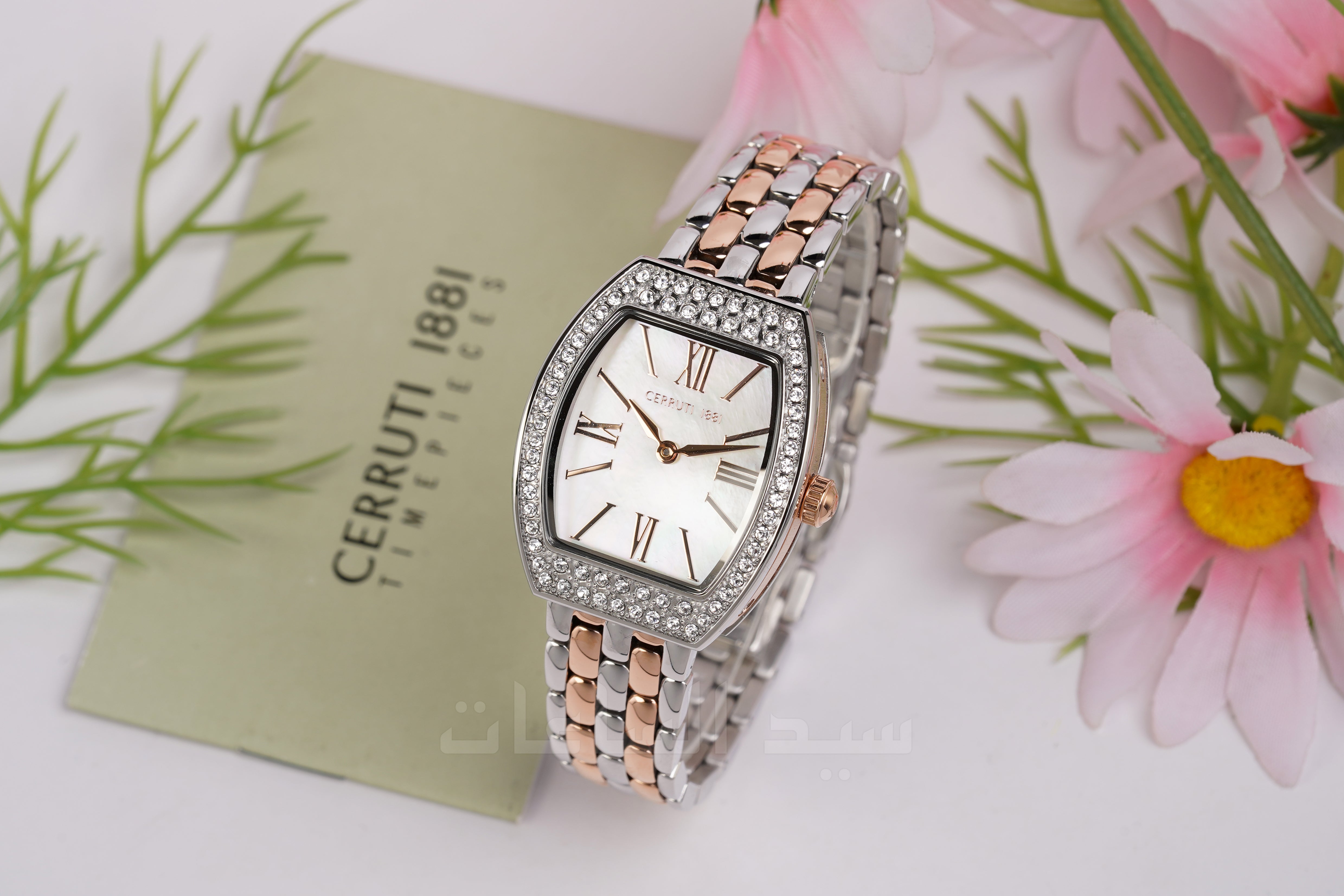CIWLG0052004