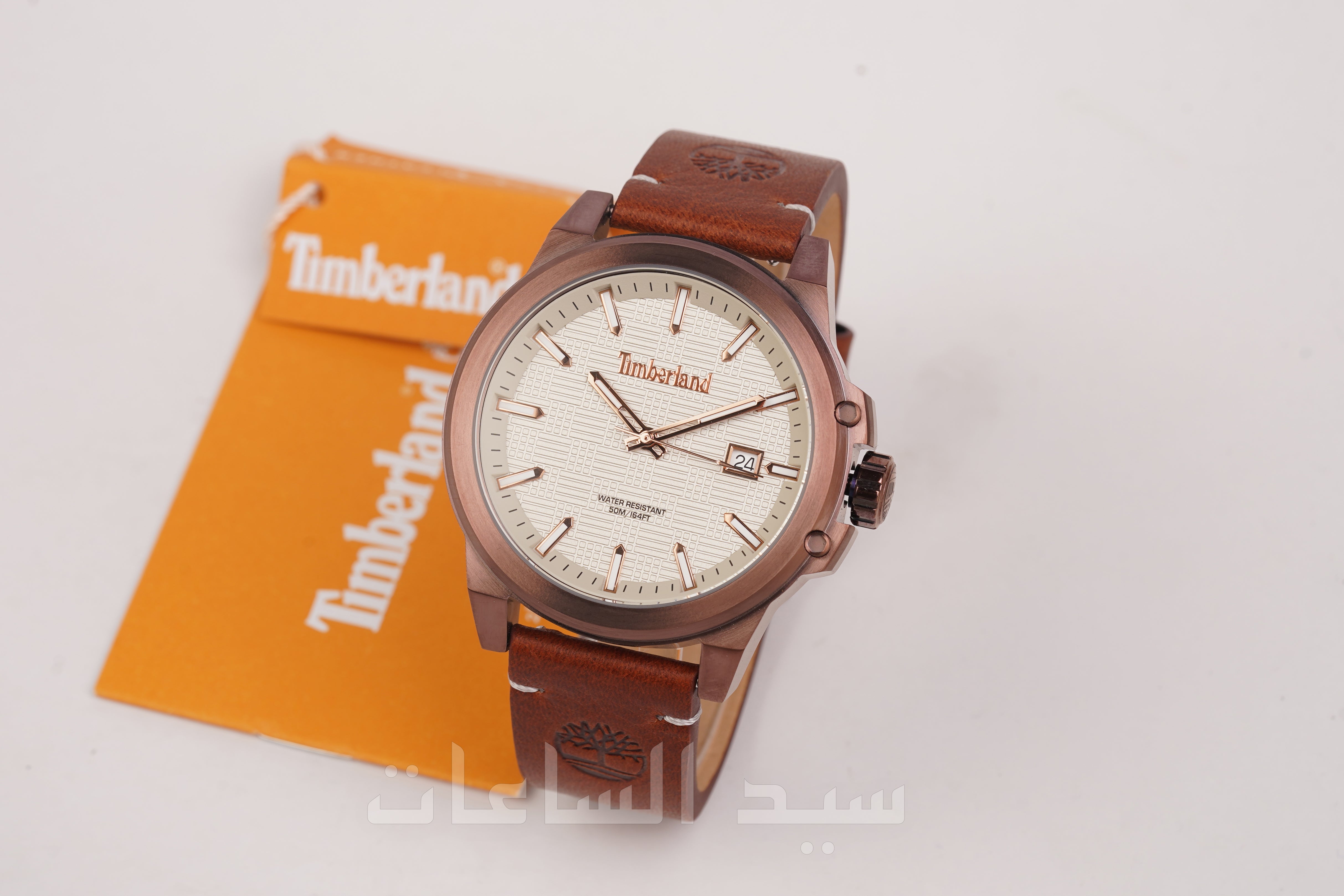 TDWGB0083002