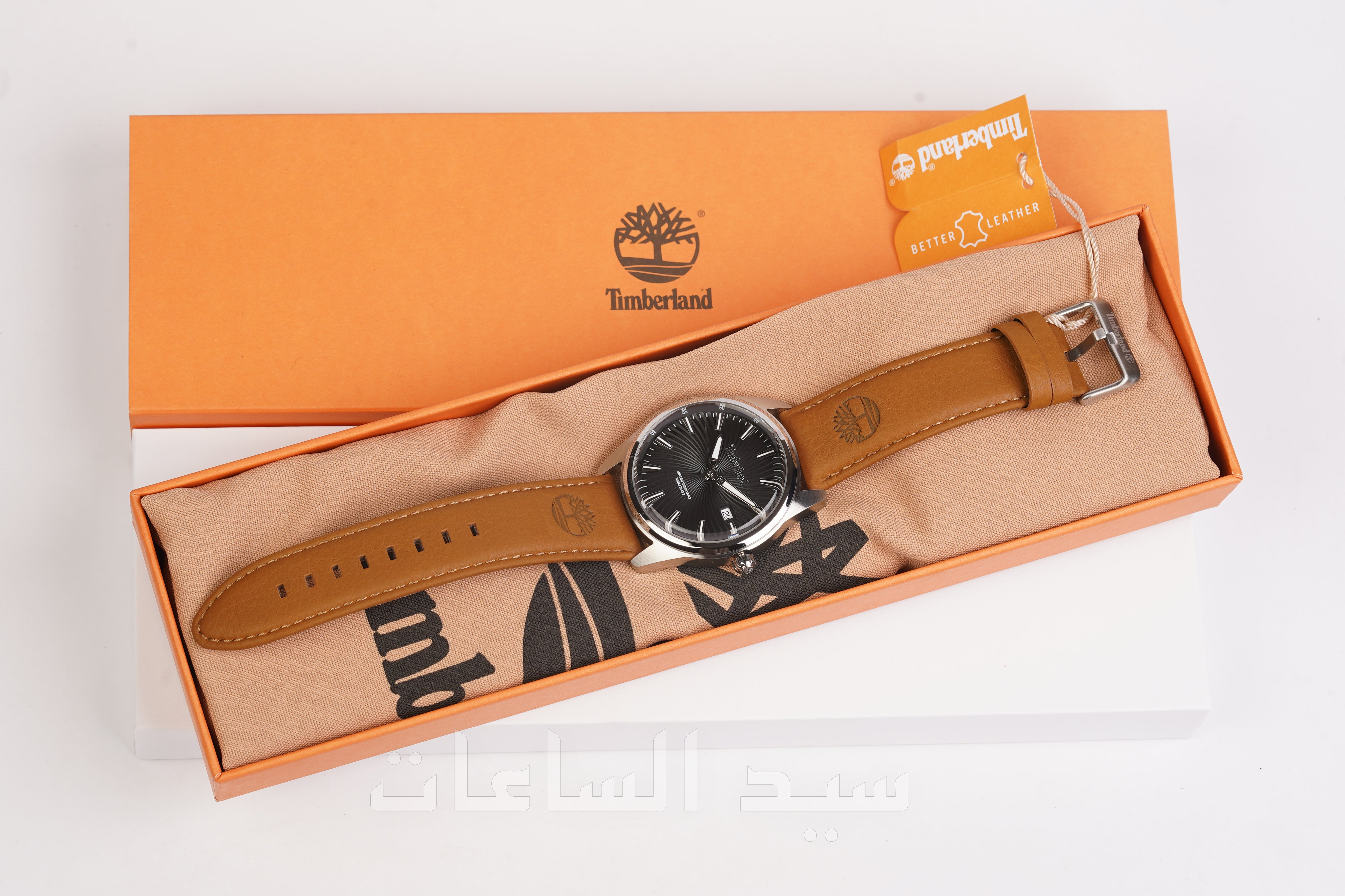 TDWGB0083101